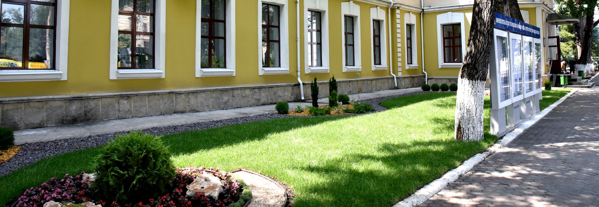 Clinici Header image