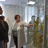 Ziua Usilor Deschise 2025